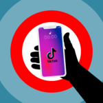 The Algorithmic Runway: Decoding TikTok’s Fashion and Lifestyle Revolution in 2024